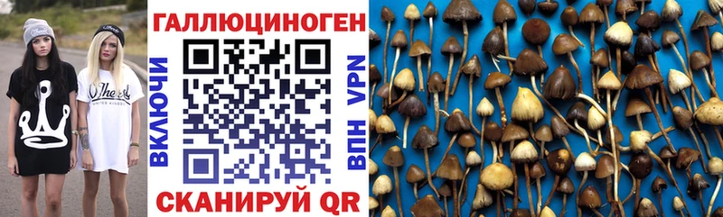 Галлюциногенные грибы Psilocybe  магазин продажи   Южа 